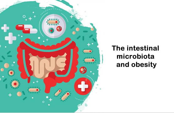 Obesity and the gut microbiota